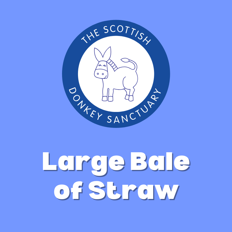 Large bale of straw