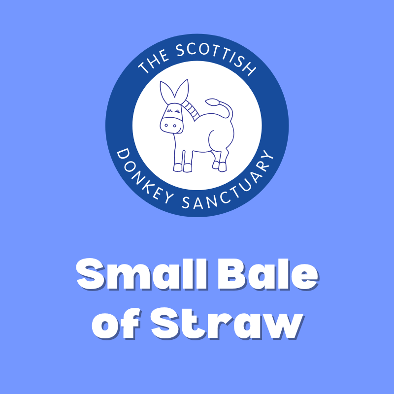 Small bale of straw
