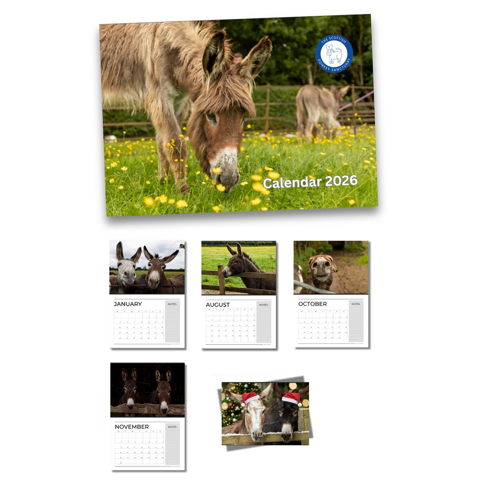 Scottish Donkey Sanctuary 2026 Calendar